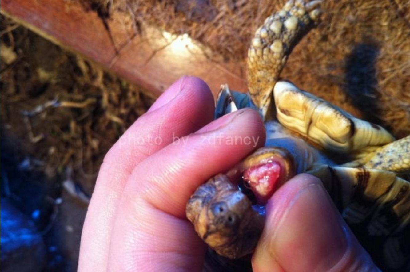 小病怎么治疗才有效,小病治疗常识大全