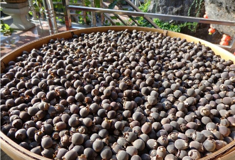 稔子酒有几种配酿方法,稔子酒的做法步骤教程