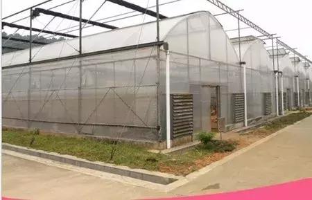 大农业今天行情,大农圈新闻