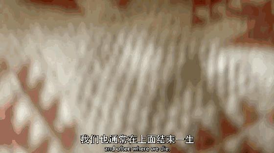 从单纯女孩到叛逆女孩,从单纯女孩到不良少女