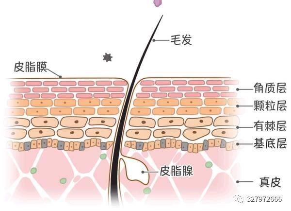 晓晓护肤科普,晓晓护肤除皱产品