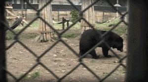 看了让人非常难受的高分电影,这辈子都不想看的电影