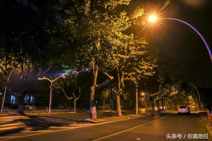 我们用49张图，记录下了零点后的临沂