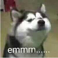 12星座的月份是算农历还是阳历呢,星座应该看农历还是看阳历