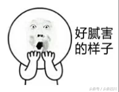 民航飞行员报考条件费用,民航飞行员报考条件490分