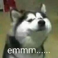 妈蛋！我居然也被坑了