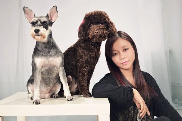 怎么训练狗狗守护东西,哪些狗狗可以保护主人