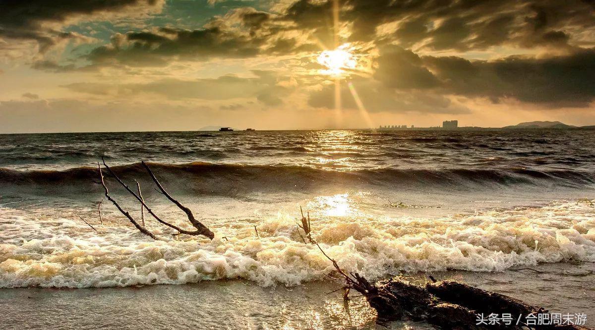 2022浜斾竴鍚堣偉鍏嶈垂鏅尯,鍚堣偉鍏嶈垂鐜╂櫙鍖哄叏鍚嶅崟