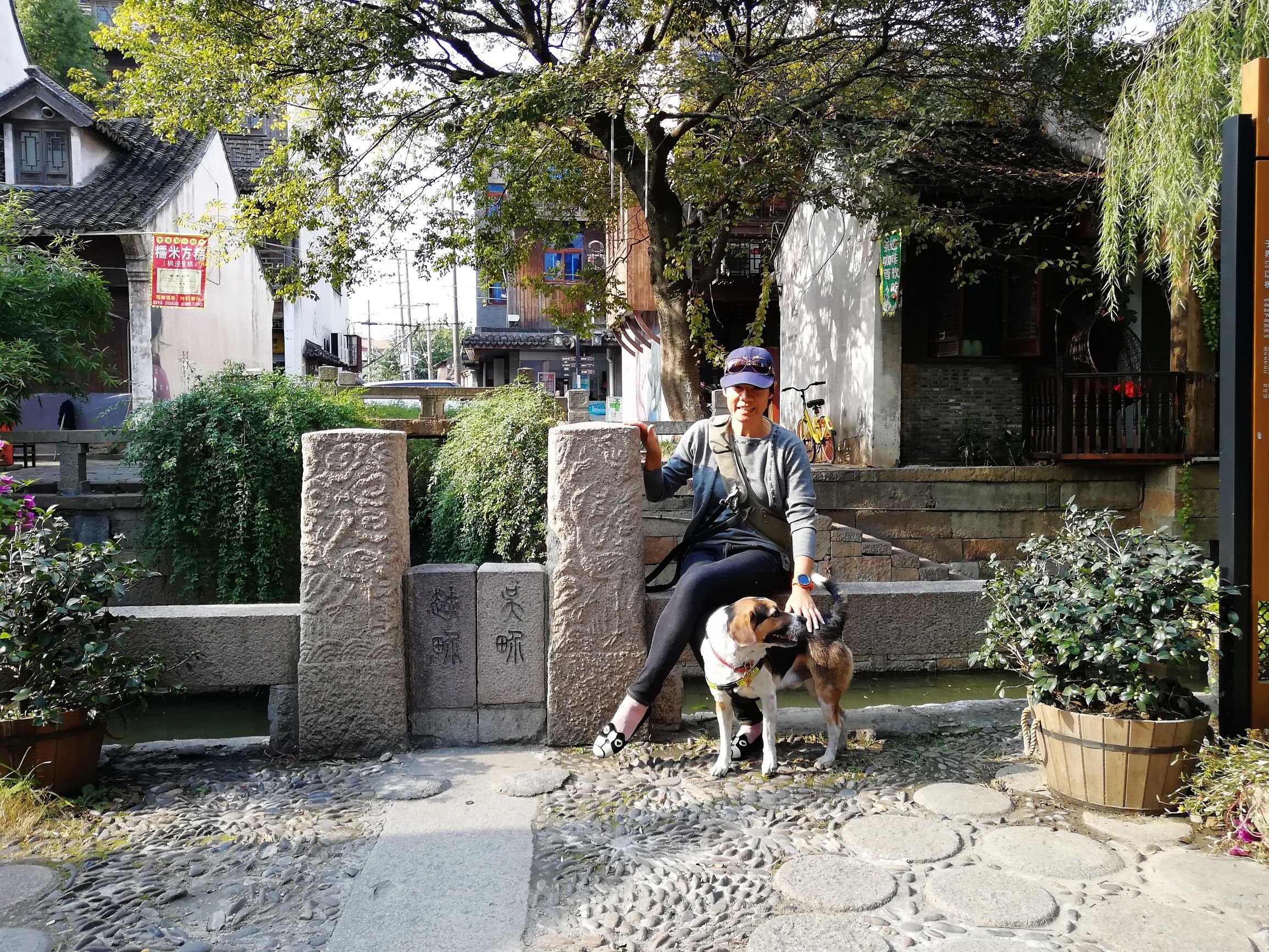 上海好玩地方推荐枫泾古镇,上海金山枫泾古镇地址