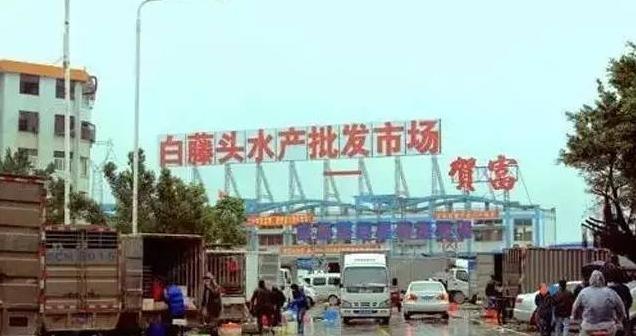 广东环球水产批发市场,广东肇庆水产批发市场