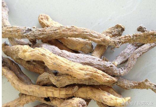 未来三年种植什么药材价格最稳定,种植中药材价格表最新消息