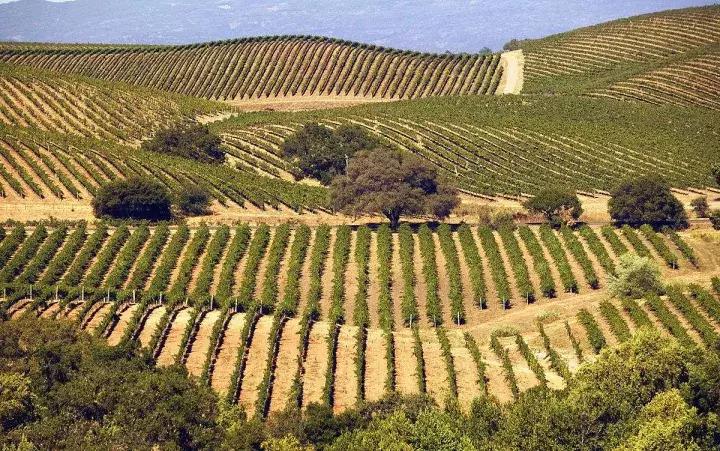 选在圣诞节去美国？这些鲜有人知的信息你得知道！