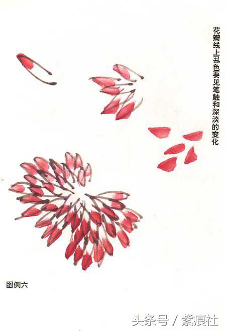 国画中球形菊花怎么画好看,名家画菊花的简单画法
