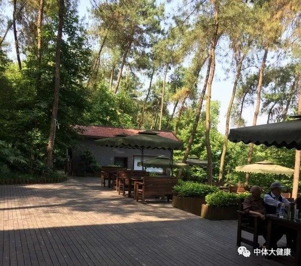 去重庆的第一件事,去重庆第一件事存放行李