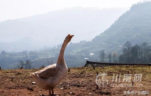 大美叙永系列之白腊苗族乡：中国传统村落，苗趣多多！