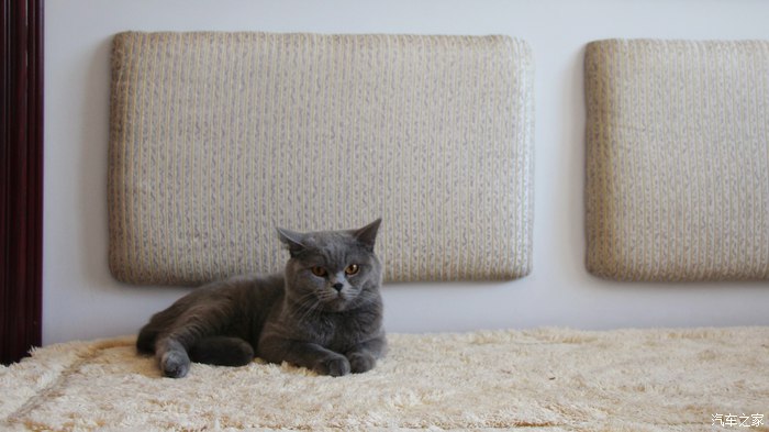 涨知识一些你不知道的秘密,汽车用品各种使用方法