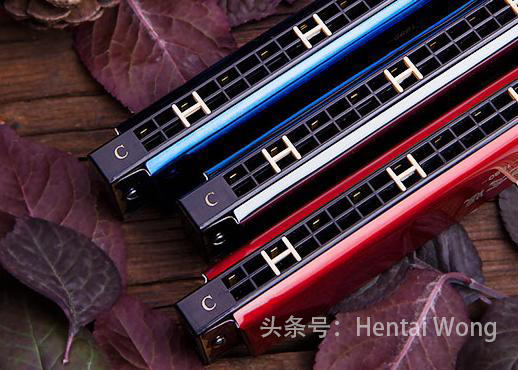 口琴种类和区别,特种口琴种类介绍