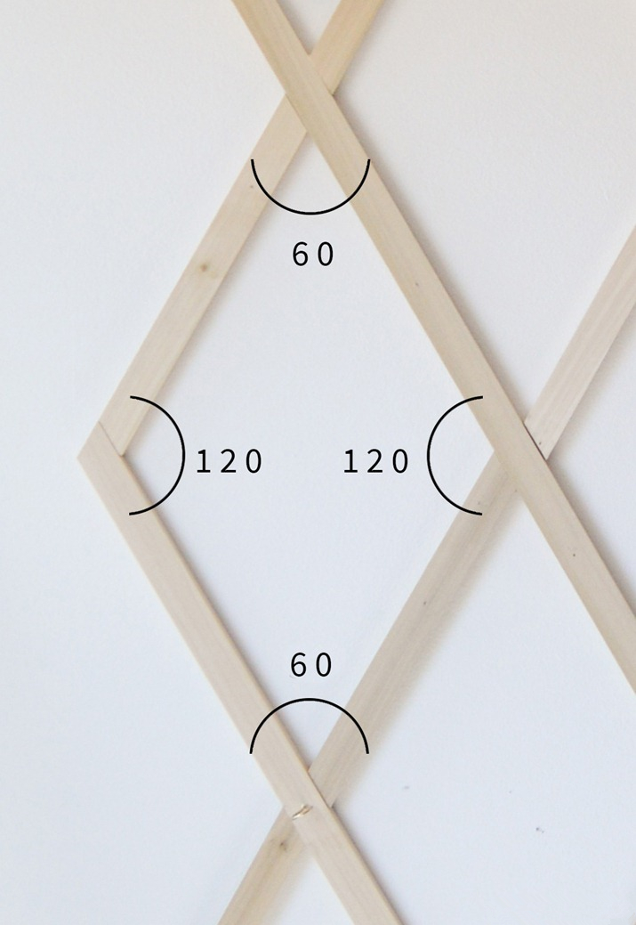自己动手制作花园植物墙,如何自制室内植物墙