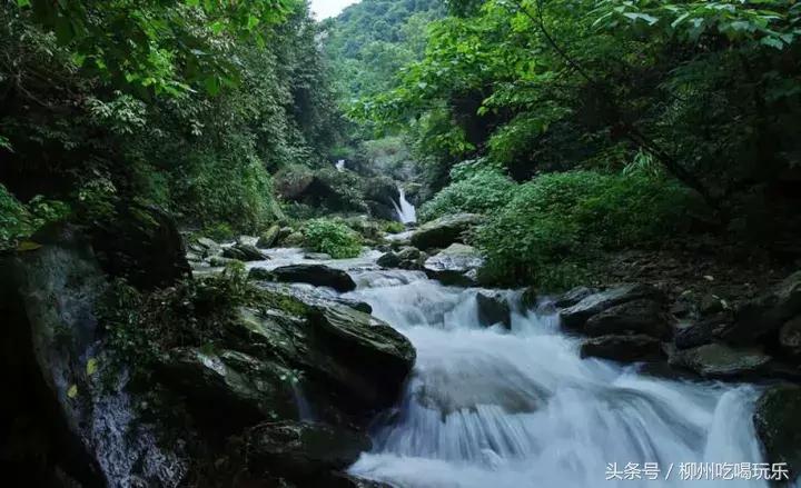 融安有望成为中心城市吗,广西融安县发展规划情况