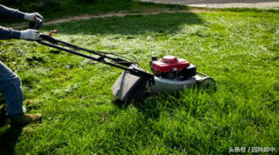 草坪秋季施肥的最佳种类,秋季草坪如何管理