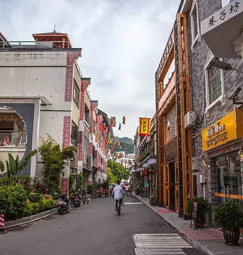 鹏城第一峰梧桐山海拔,鹏城第一峰梧桐山是大梧桐吗