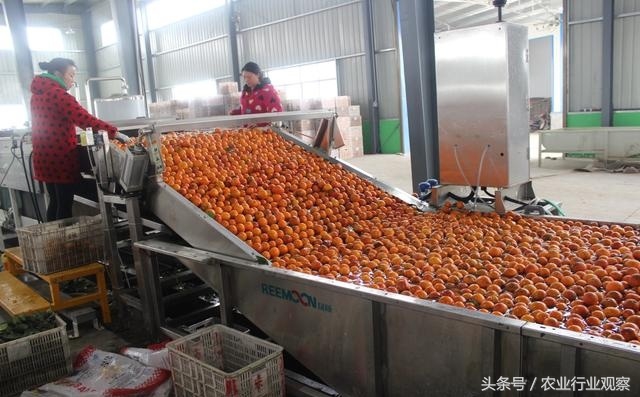 英雄莫问出身小说,英雄莫问出处的事例