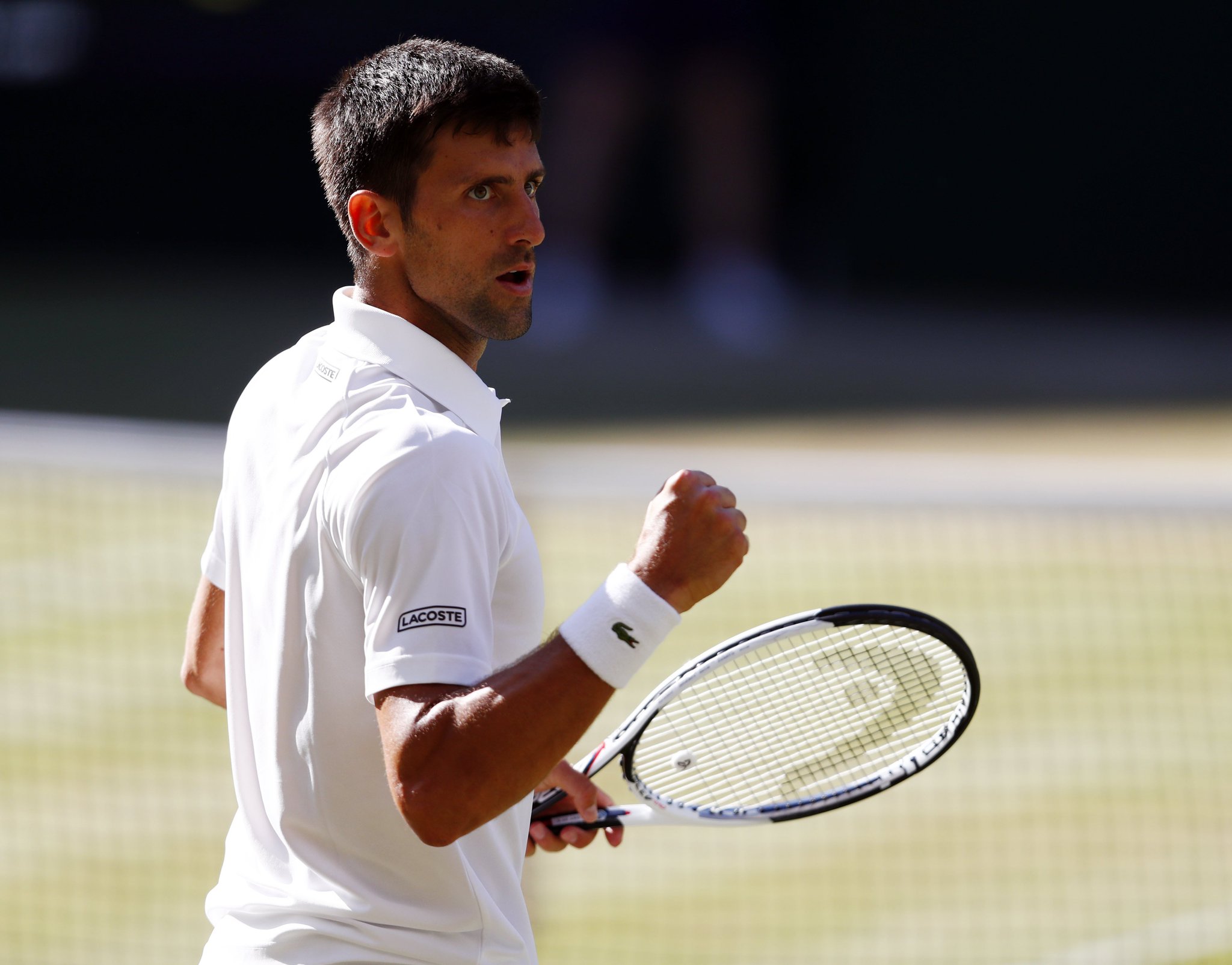 单打网球拍十大品牌,网球拍品牌从哪里看