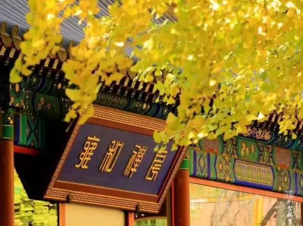 京城赏秋打卡胜地,京城赏荷最佳路线图