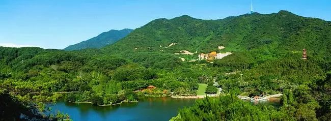 鹏城第一峰梧桐山海拔,鹏城第一峰梧桐山是大梧桐吗