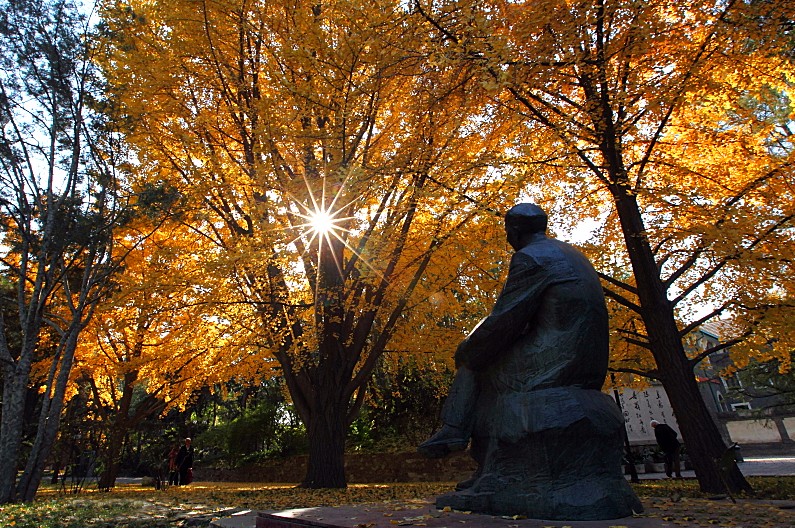 京城赏秋打卡胜地,京城赏荷最佳路线图