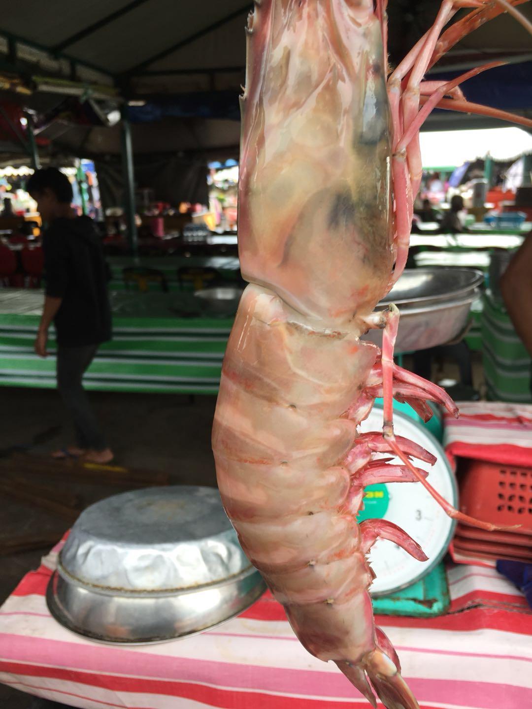 在马来西亚的中国女人,去马来西亚旅游的女孩