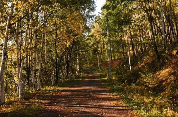坐火车穿越俄罗斯西伯利亚,欧洲火车途经小镇