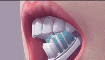 世界公认正确刷牙视频,世界公认最好的刷牙法