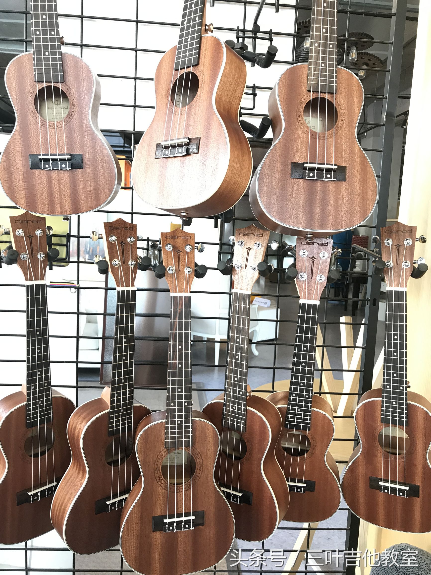 中国首家共享吉他(三叶)已经开始蔓延武汉了!武汉三叶乐器出资