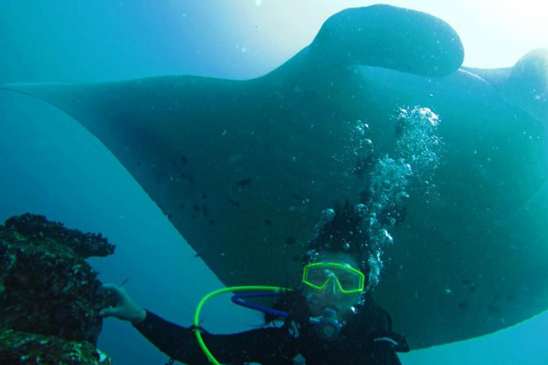 满月岛旅游攻略,满月岛和马尔代夫岛哪个好