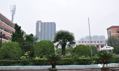 回民中学的升学率,回民中学哪个校区初中部厉害