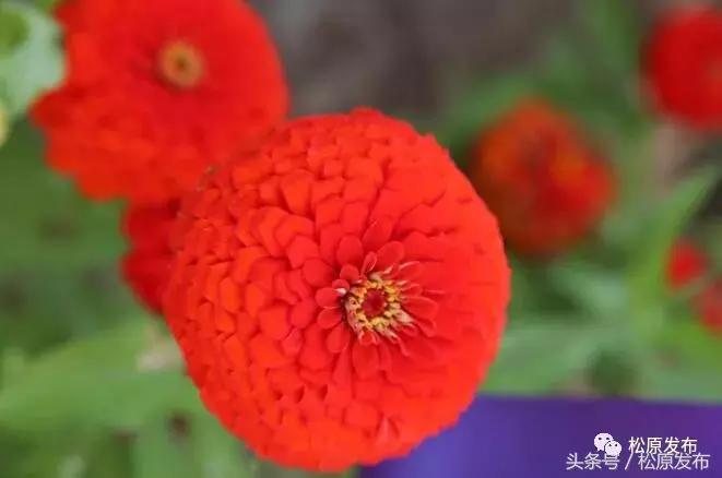 姘存竻澶╄摑,姘存竻澶╄摑鏅編