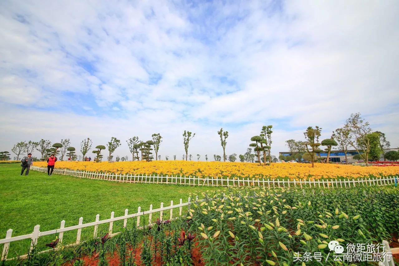春节免费开放弥勒太平湖森林公园,弥勒太平湖森林公园6月去有花吗