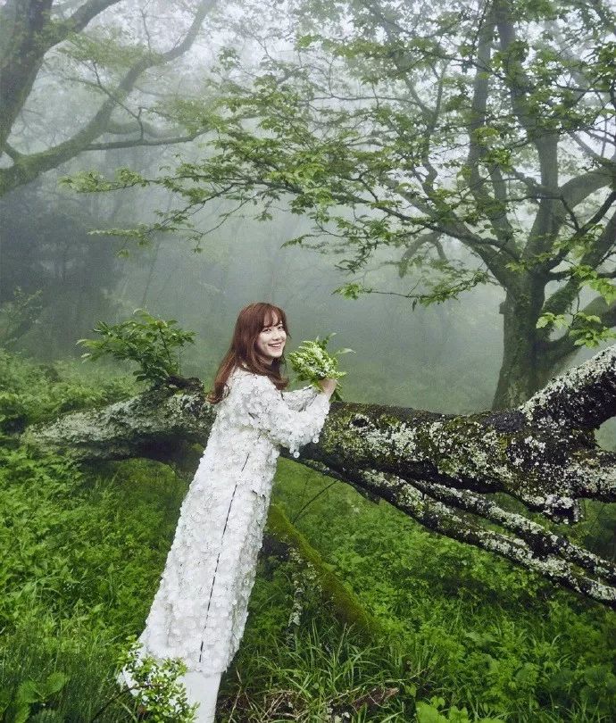 哪些明星的婚纱照比较好看,不需要奢华大牌只要干净利落