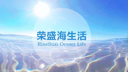 陵水一日游必去的景点,陵水一日游自由行