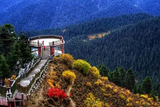 林芝为什么那么魅力,林芝深度游最佳路线