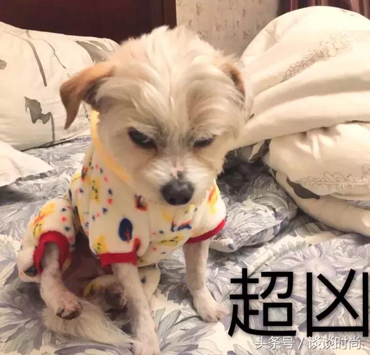 遮黑眼圈泪沟快速教程,新手如何遮泪沟黑眼圈