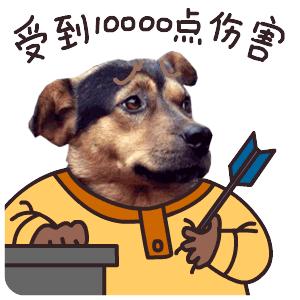 世界上最好的几只狗狗,世界上最强大的十条狗狗