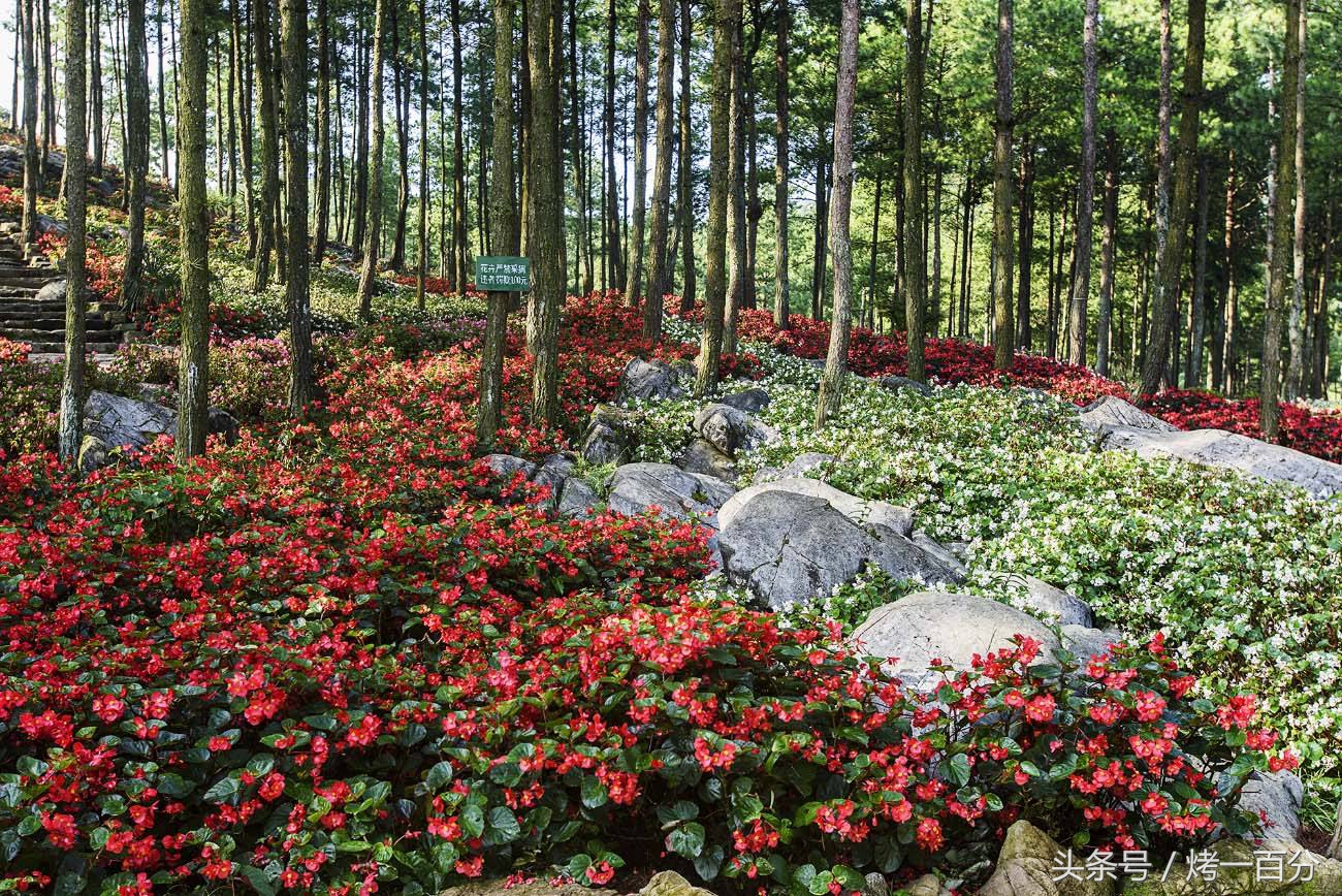重庆旅游景点推荐排行榜,重庆旅游景点推荐学生