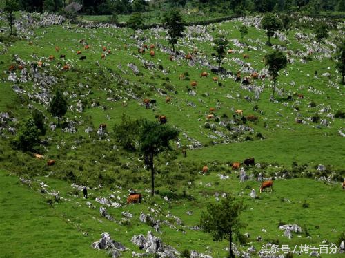 重庆旅游景点推荐排行榜,重庆旅游景点推荐学生