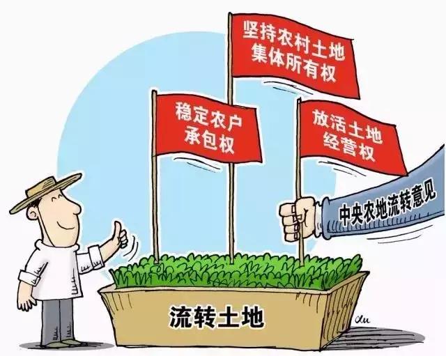广东民声热线求助电话,广东民声热线网络直播间