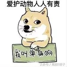 刘天佐是好的吗,刘天佐属于几线演员