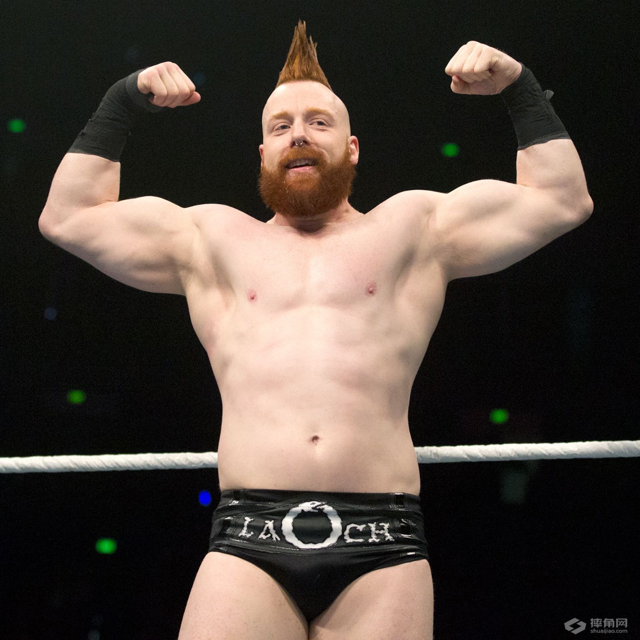 世界最强wwe布洛克,wwe布洛克输得最彻底的一次