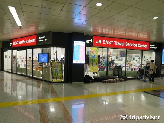 免税店双十一有优惠活动吗,红包折扣