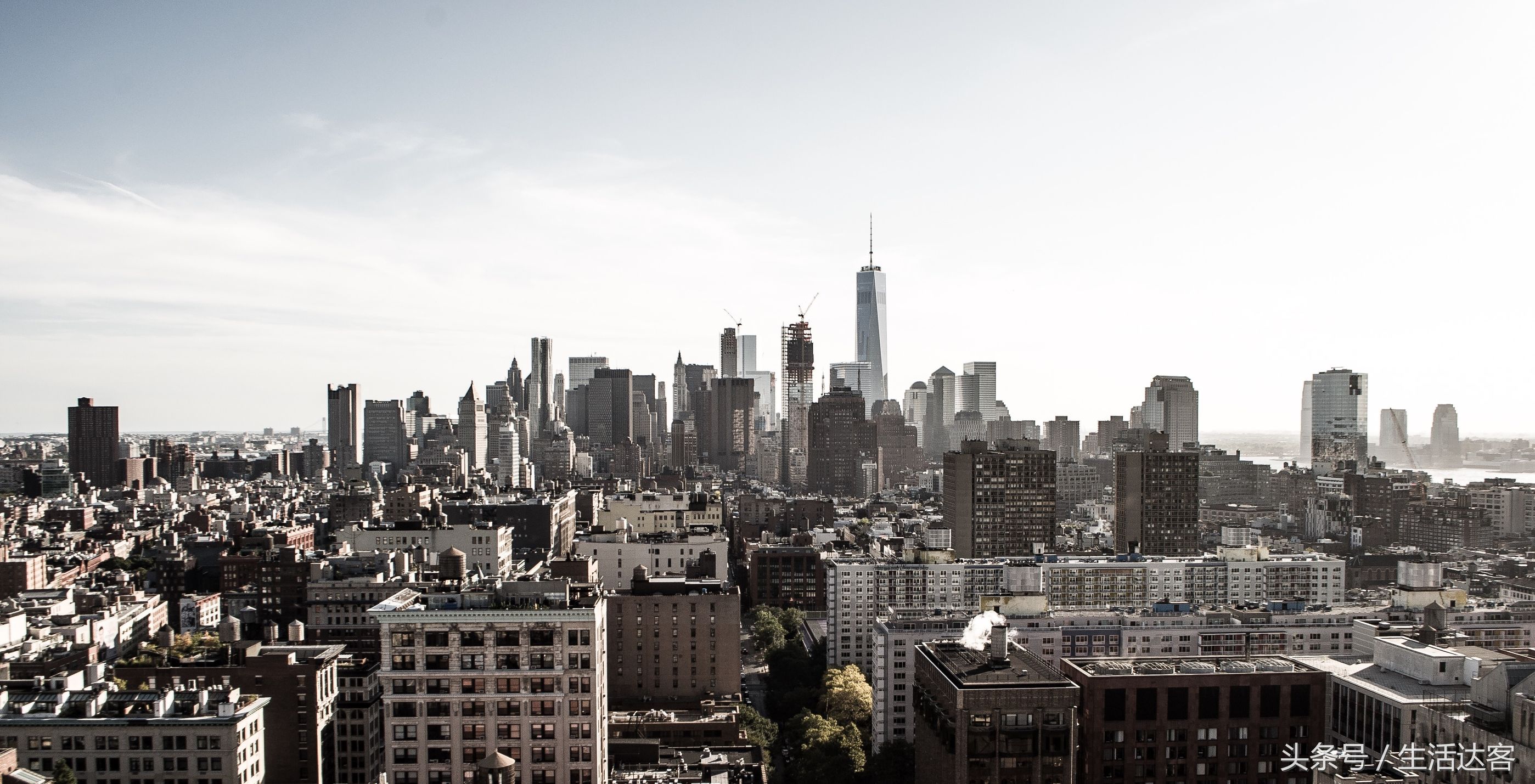 猎场里有哪些猎头,猎场中对猎头的定位